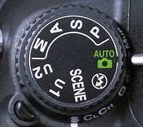 Image result for Nikon Auto Mode Icon