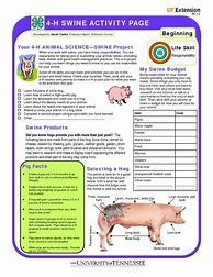 Image result for 4-H Activity Sheets