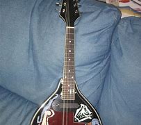 Image result for Electric Mandolin