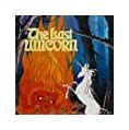 Image result for The Last Unicorn Cartoon