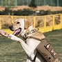 Image result for Tactical Dog Backpacks