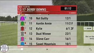 Image result for Ladbrokes Horse
