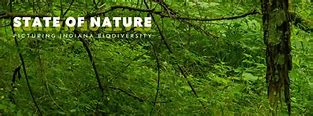 Image result for State of Nature