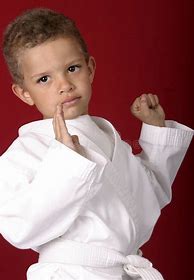 Image result for Karate Gi Pants