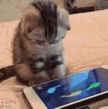 Image result for Cat iPad Games Free