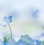 Image result for Blue and White Floral Wallpaper