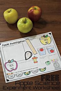 Image result for Apple Science Activities for Toddlers