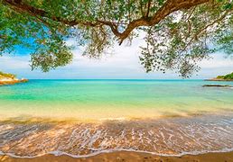 Image result for Beach Color Wallpaper