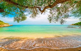 Image result for Sea and Beach