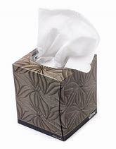 Image result for Uses for Empty Kleenex Box