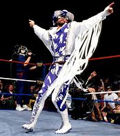 Image result for Black and White Wrestling Attire