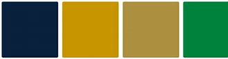 Image result for Notre Dame Color Codes