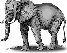 Image result for Elephant Clip Art Templates