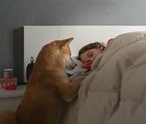 Image result for Nanna Wake Dogs Up