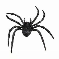 Image result for Toy Spiders That Look Real