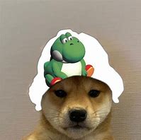 Image result for Baby Doge Meme Template