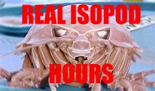 Image result for Gort Isopod Meme