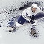 Image result for Images of Toronto Maple Leafs Logo