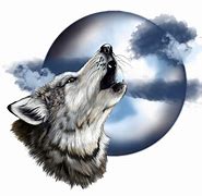 Image result for Lone Wolf Howling Drawing