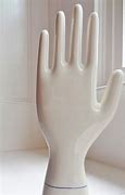 Image result for Porcelain Hand Display