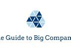 Image result for Big Companies Company Logo