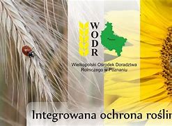 Image result for integrowana_ochrona_roślin