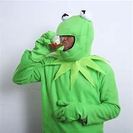 Image result for Kermit Meme Costume