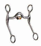 Image result for Curb Chain Horse
