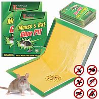 Image result for Glue Traps for Mice Lowe's