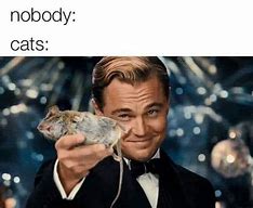 Image result for Leonardo DiCaprio Memes Toasts