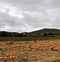 Image result for Pumpkin Patch Nearby