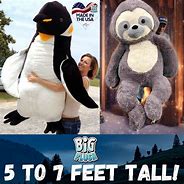 Image result for Things That Are 5 Feet Tall