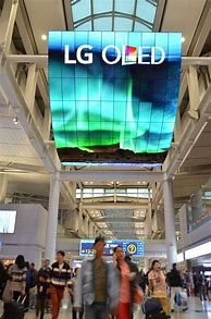 Image result for Largest LG TV