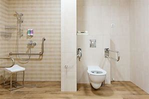 Image result for ADA Bathroom Handrails
