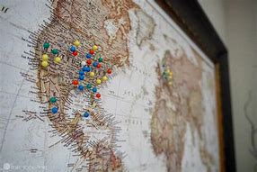 Image result for Travel Pin Map