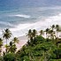 Image result for Palm Tree Top View Pixel