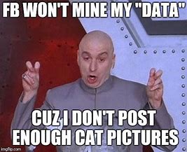 Image result for Cat Meme Won