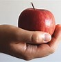 Image result for A Photo of Two Whole Red Apple's and a Small Piece of Red Apple