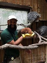 Image result for Boy Zookeeper