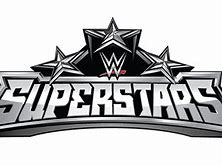 Image result for Superstar Collection WWE Action Figures