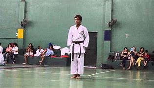 Image result for Zenaus Martial Arts