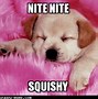 Image result for Good Night Funny Cat