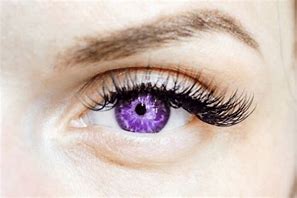 Image result for Purple-Eyed