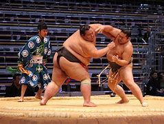Image result for Sumo Wrestling Japan