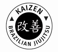 Image result for Jiu Jitsu Kaizen