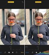 Image result for Examples Portrait Mode iPhone X