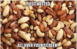 Image result for Nut Waercool Meme