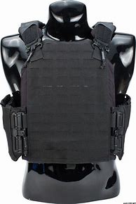 Image result for First Spear Plate Carrier
