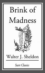 Image result for Mirror World Madness Book