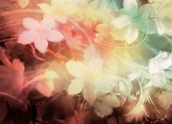 Image result for iPhone 6 iOS 8 Flower Wallpaper